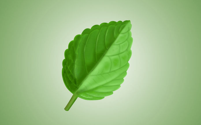 Politica della Qualità e Ambiente